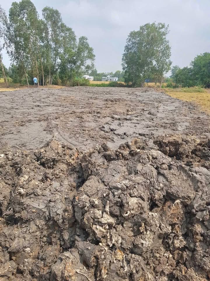 Đất nền Minh Lương 1026m² giá 7.56 tỷ - Đầu tư sinh lời ngay hôm nay!