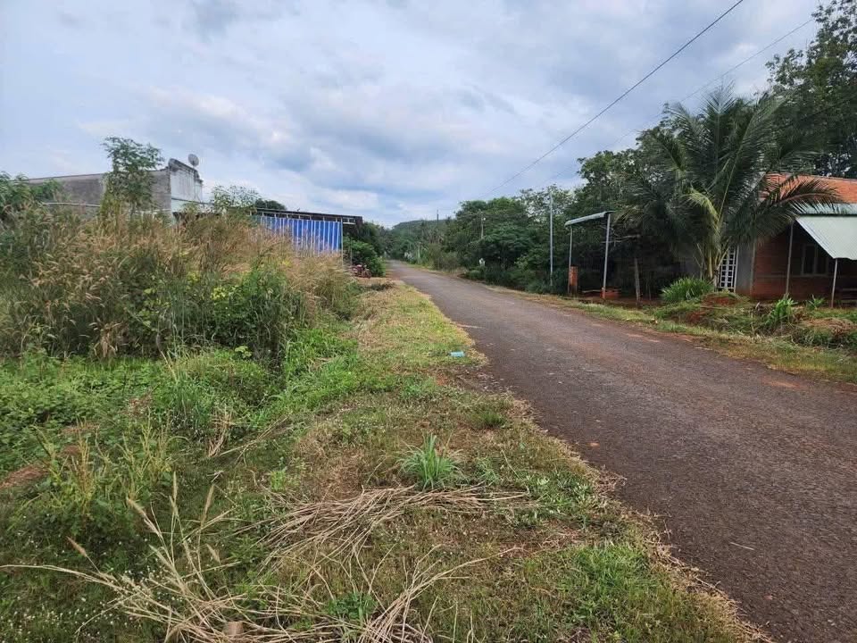 Đất thổ cư xã Đa Kia 378m² giá chỉ 320 triệu - Cơ hội đầu tư tuyệt vời!