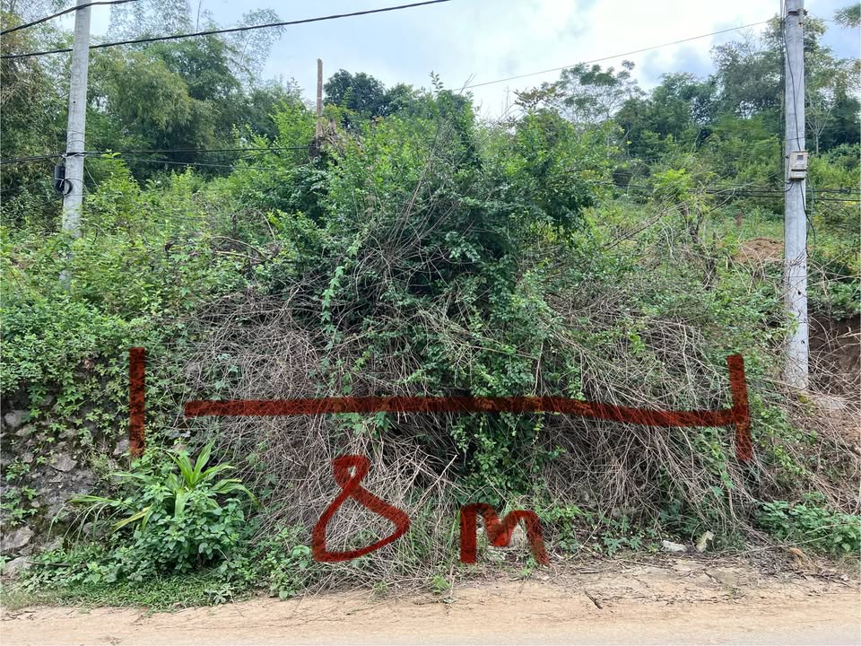 Đất vườn 277m² tại đường Lê Lai, phường Thống Nhất, Hòa Bình - Giá thỏa thuận hấp dẫn!