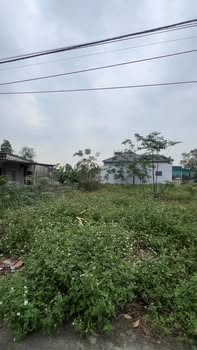 Đất thổ cư thôn Quang Mỹ, Nghi Xuân 156m² giá 120 triệu - Đầu tư sinh lời ngay!