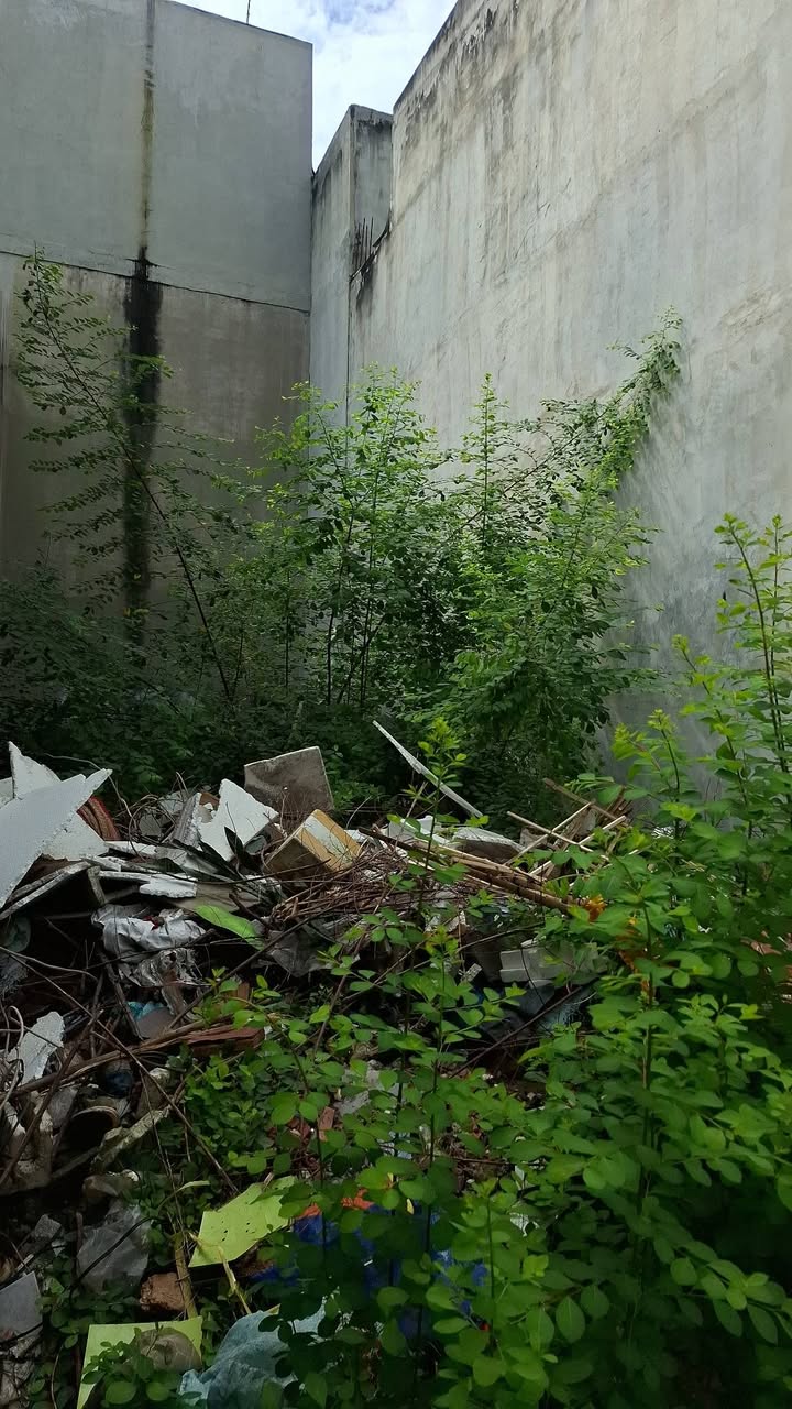 Đất thổ cư Đường 11 Linh Xuân 59m² chỉ 3,3 tỷ - Cơ hội đầu tư tuyệt vời!