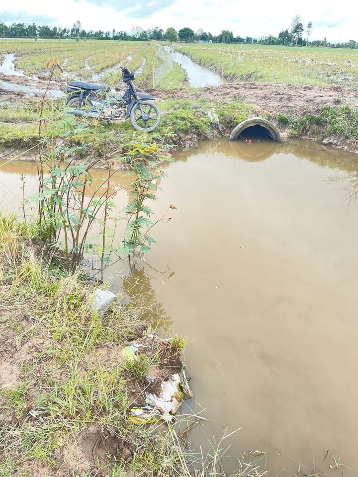 Đất nông nghiệp Tân Công Sính 19000m² giá 2.091 tỷ - Cơ hội đầu tư hấp dẫn!