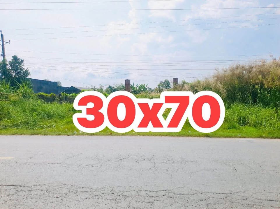 Kho xưởng 2100m² đường QLN2, xã Hữu Thạnh - Giá chỉ 18 tỷ!