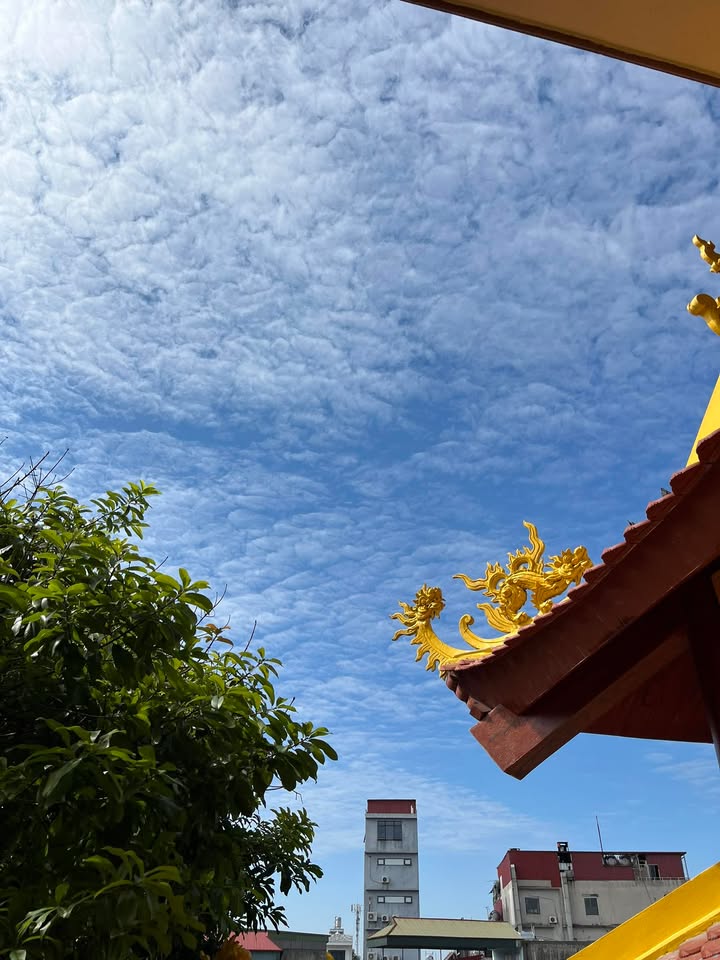 Nhà cho thuê khu Đại Phúc Bắc Ninh 3 PN giá 22 triệu - Văn phòng cực đẹp!