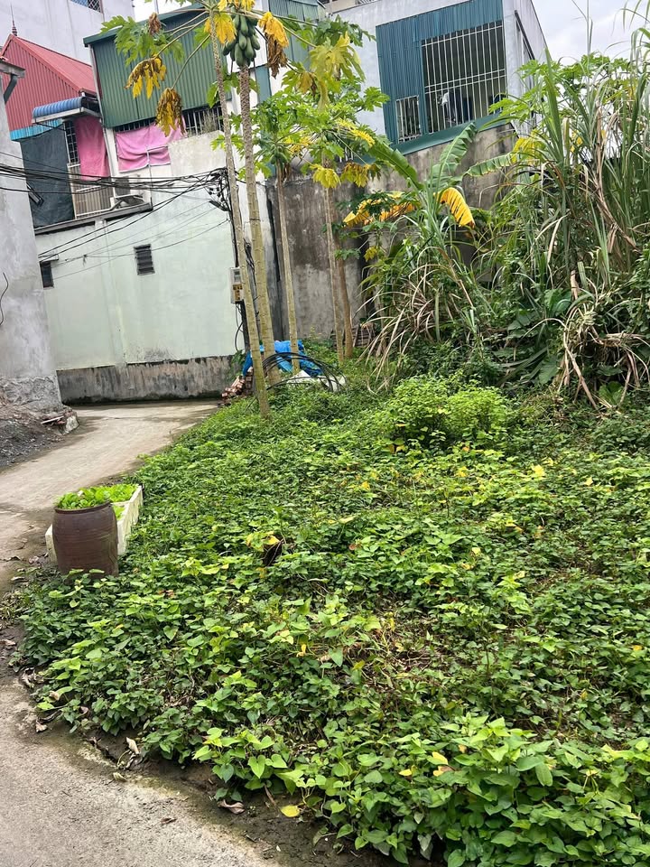 Đất nền Duy Tiên 60m² giá 1 tỷ - Vị trí trung tâm gần KCN Đồng Văn 3!