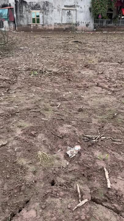 Đất thổ cư 1000m² tại thôn Đan Nhiễm - Cho thuê với giá thỏa thuận