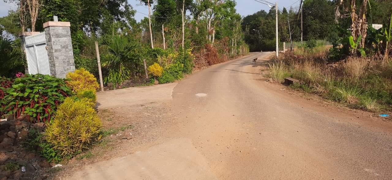 Đất nền 3-5 sào tại Xuân Thọ, Xuân Lộc giá 810 triệu - Đầu tư sinh lời ngay!