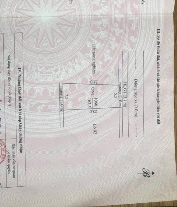 Đất nền Tượng Lĩnh, Nông Cống 162m² giá chỉ 9xx triệu - Cơ hội đầu tư hấp dẫn!