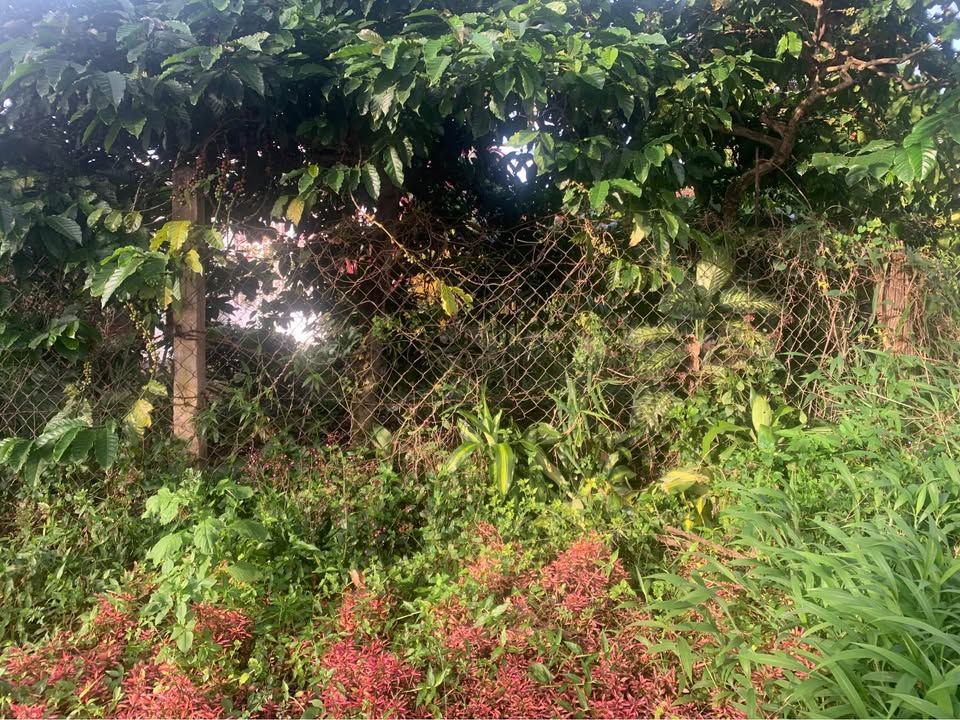 Đất nền đường Quốc lộ 27, xã Liên Hiệp, 285m² giá chỉ 5 tỷ - Cơ hội đầu tư sinh lời!