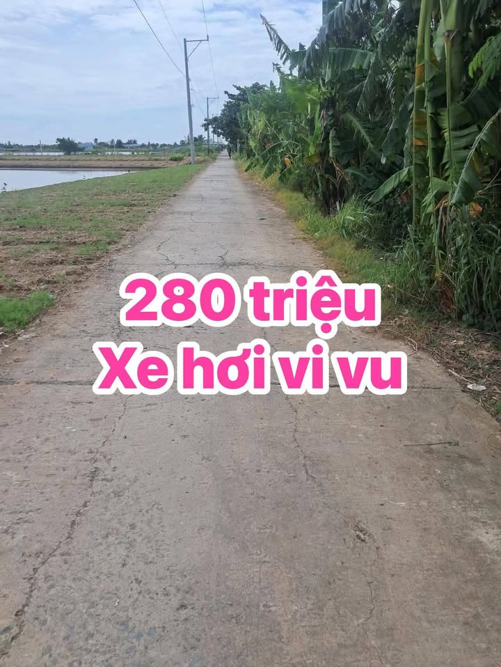 Đất nền 168m² tại ấp Nam, Tân Điền, Gò Công Đông - Giá chỉ từ 200 triệu, sổ hồng đầy đủ!