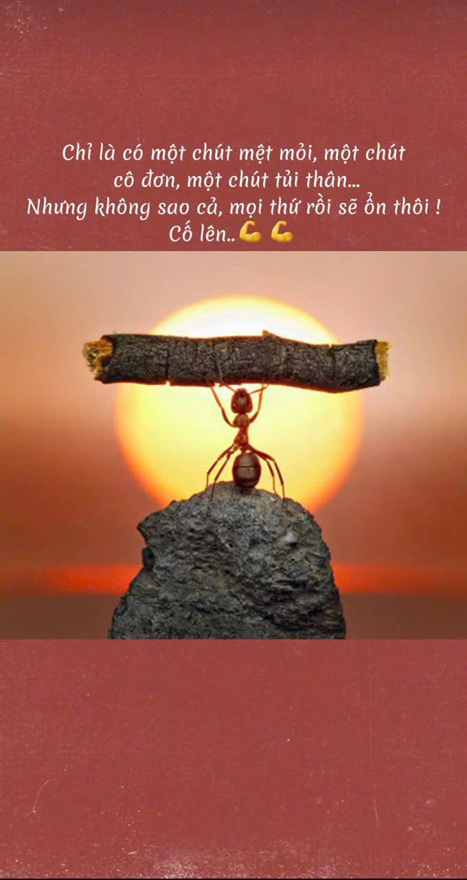 Đất mặt tiền Nguyễn Thị Thập, phường Đoàn Kết, 510m² giá 960 triệu - Cơ hội đầu tư tuyệt vời!