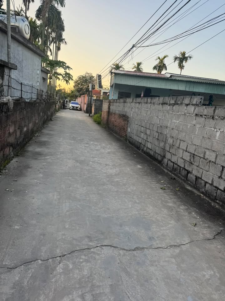 Đất nền Trường Thành, An Lão 300m² giá chỉ 2.4 tỷ - Đầu tư sinh lời ngay!