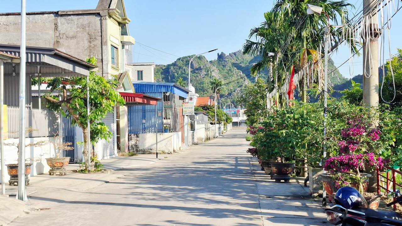 Đất nền An Trường, An Lão, Hải Phòng 76m² giá 900 triệu - Cơ hội đầu tư sinh lời ổn định!