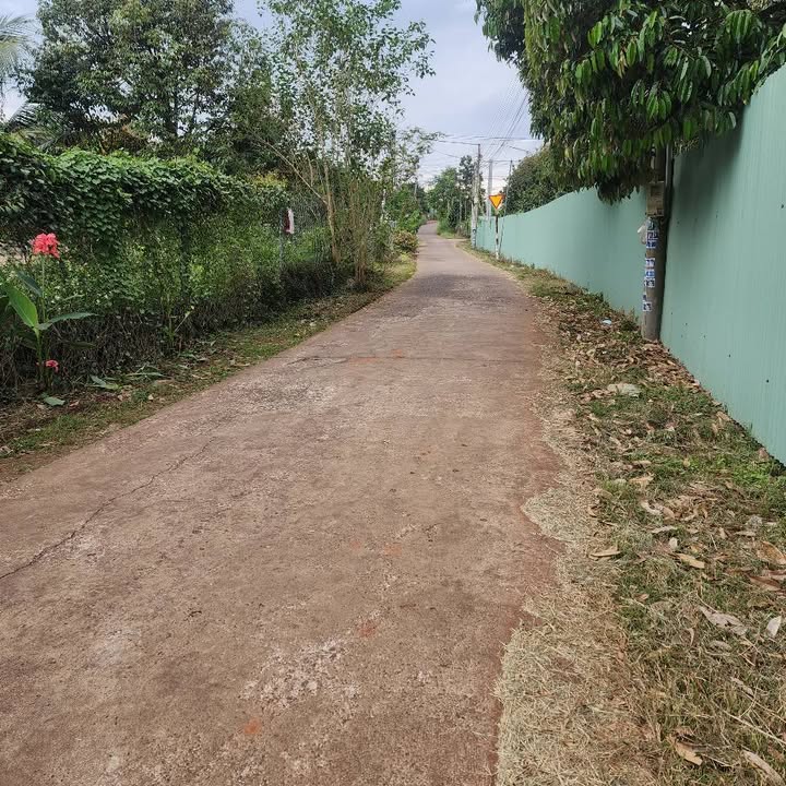 Đất nền khu phố Núi Đỏ, phường Xuân Lập, 150m² chỉ 1 tỷ - Đầu tư sinh lời ngay!