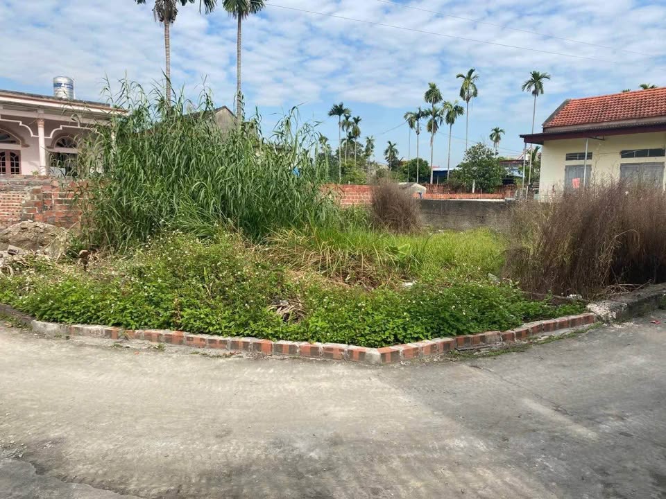 Đất nền Quảng Thanh Thủy Nguyên 60m² giá 700 triệu - Cách đường ô tô chỉ 80m!