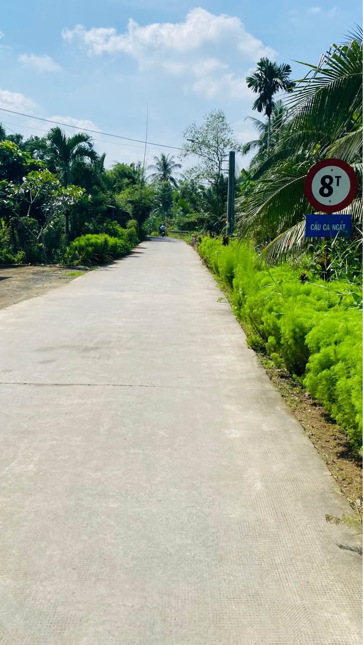 Đất mặt tiền Mỹ Thạnh, Giồng Trôm 1340m² giá 2.4 tỷ - Cơ hội đầu tư tuyệt vời!