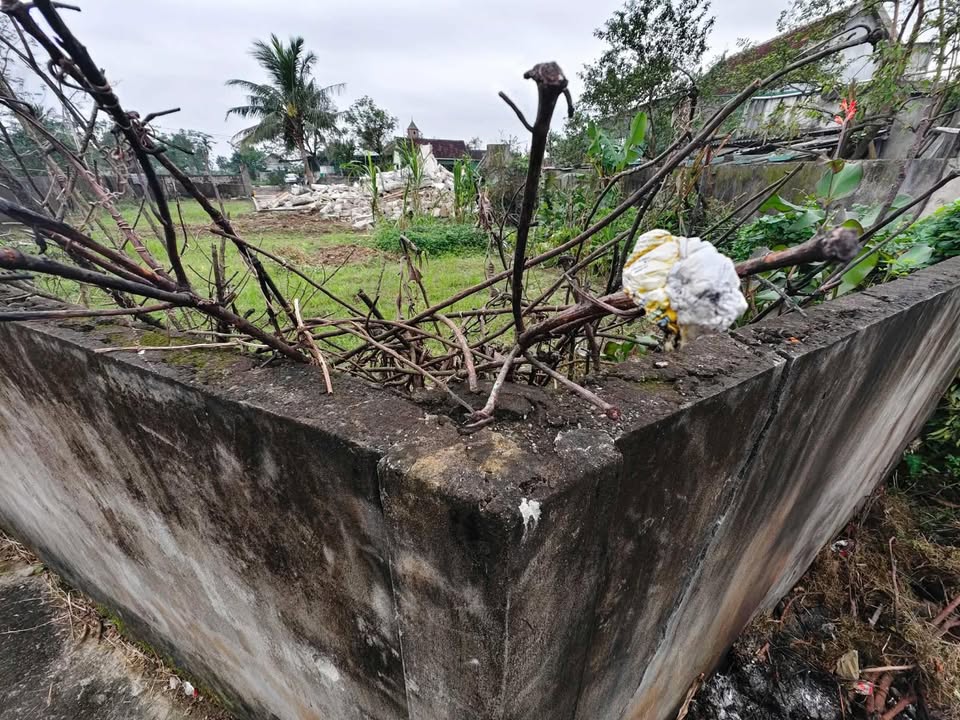 Đất thổ cư Nam Cát, 220m² chỉ 900 triệu - Cơ hội đầu tư hiếm có!