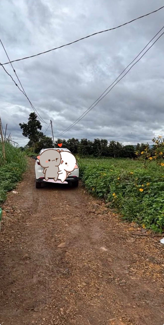 Đất nền xã Đức Trọng 1000m² giá 900 triệu - Cơ hội đầu tư hiếm có!