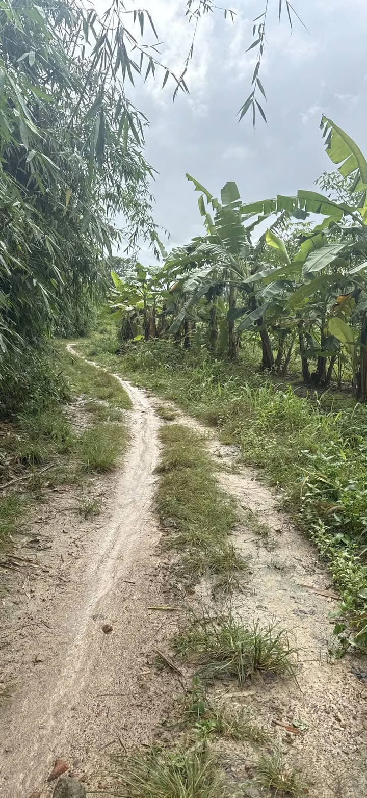 Lô đất Cư Ni Ea Kar 6400m² giá 700 triệu - Cơ hội đầu tư tuyệt vời!