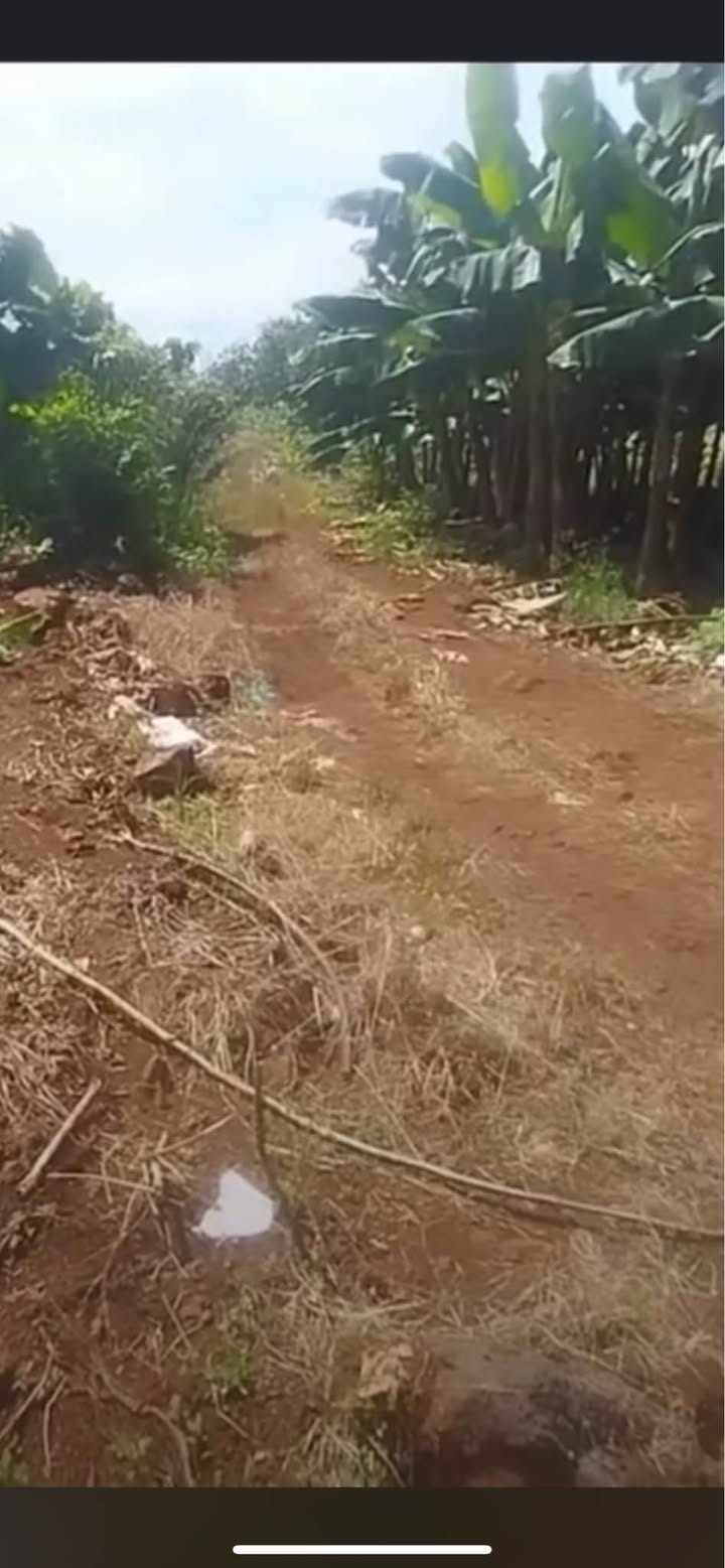 Đất nền xã Phú Vinh 1168m² giá chỉ 365 triệu - Sổ hồng công chứng trong ngày!