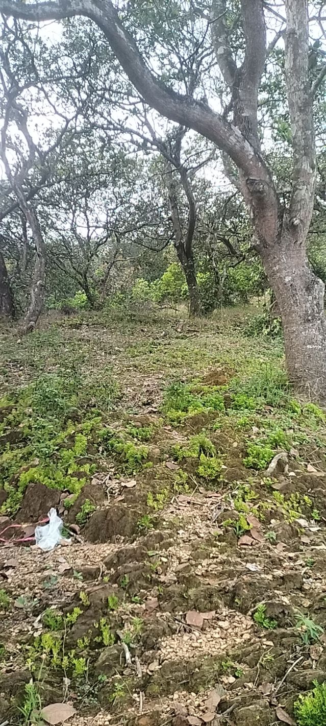 Đất nền Phú Thịnh Tân Phú Đồng Nai 14.993m² giá 1.1 tỷ - Cơ hội đầu tư hấp dẫn!