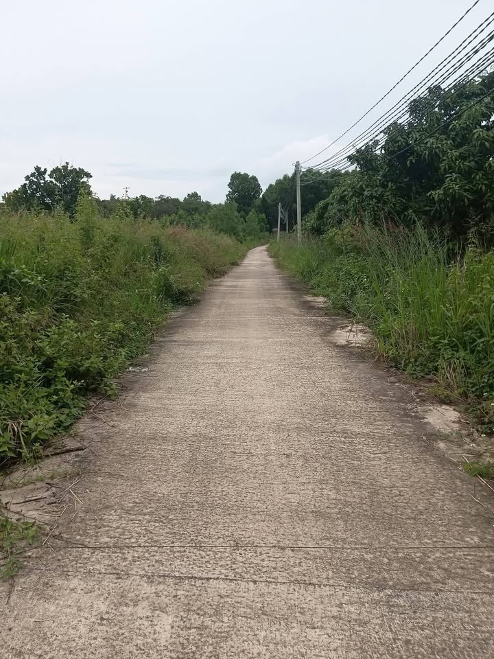 Đất nền Phú Ngọc, Định Quán, Đồng Nai 1000m² giá 650 triệu - Cơ hội đầu tư hấp dẫn!