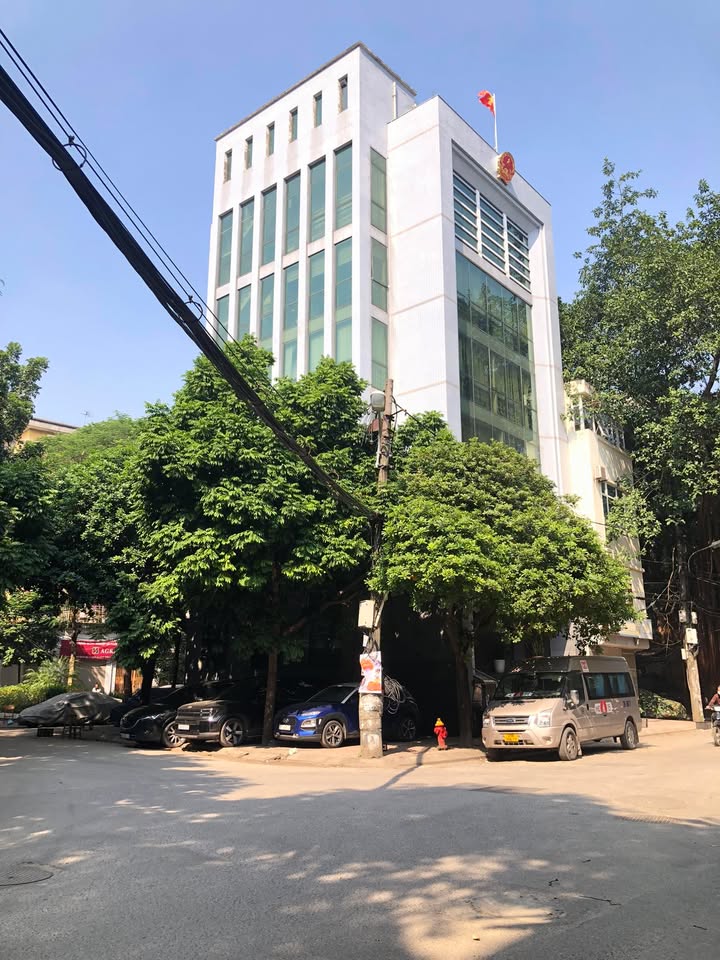 Nhà phố Vĩnh Phúc, Ba Đình 100m² giá 41 tỷ - Lô góc tiềm năng cực đẹp!