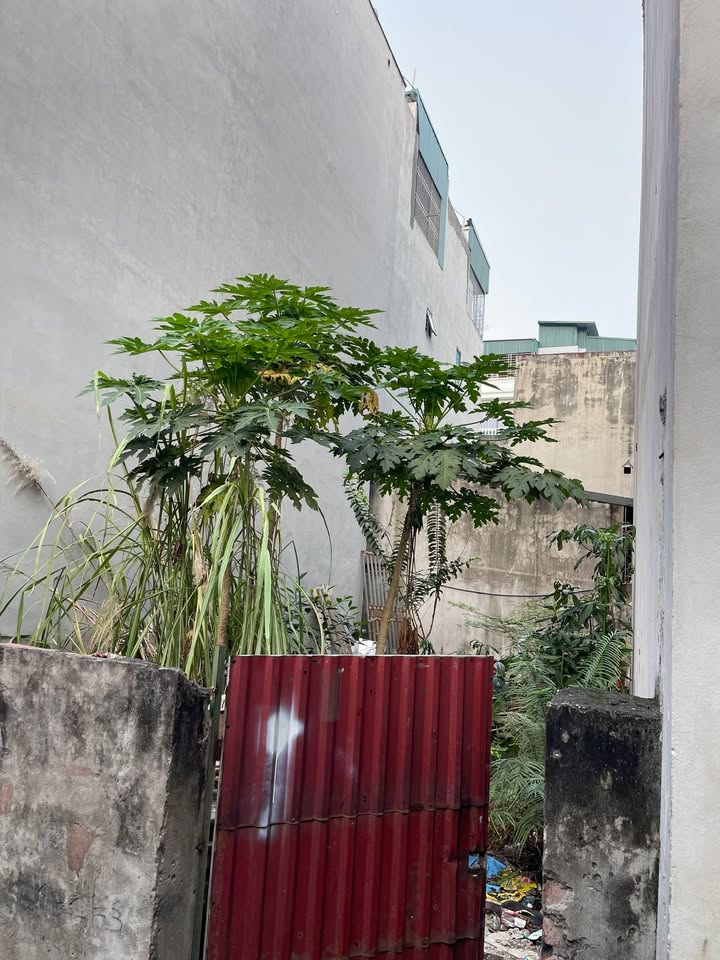 Đất La Khê, Hà Đông 46m² - Cơ hội đầu tư hiếm có!