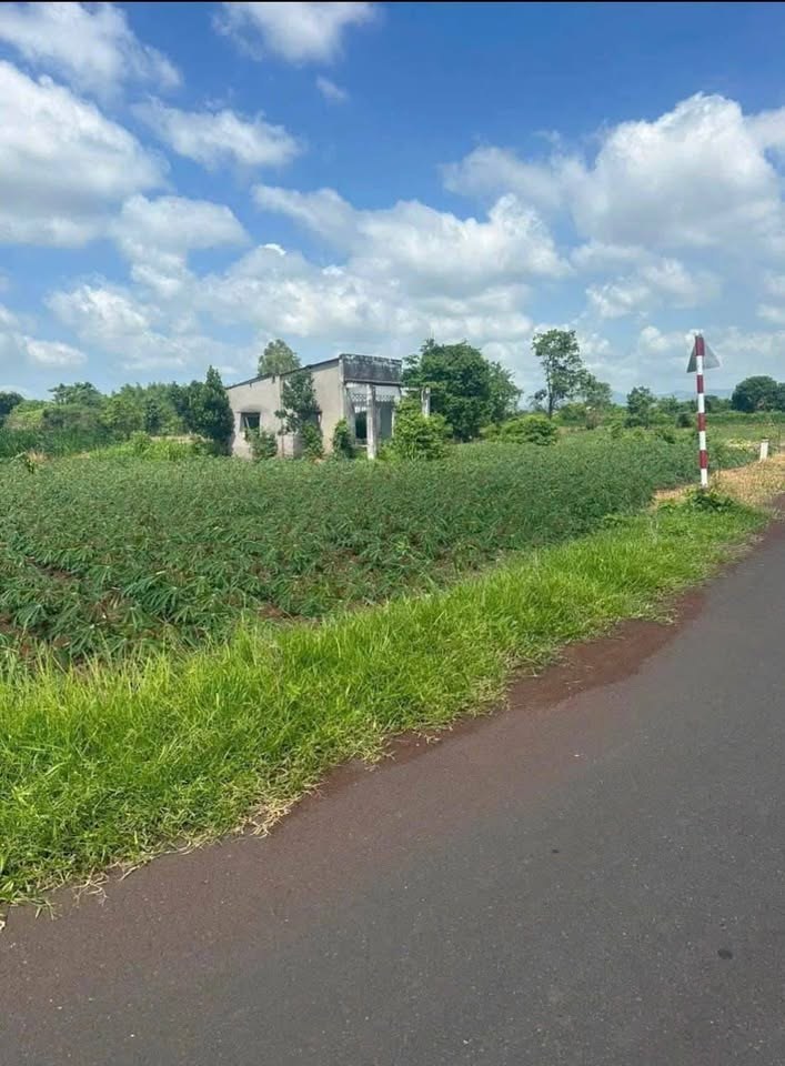 Đất nền Đá Bạc, Châu Đức 1000m² giá chỉ 850 triệu - Mặt tiền đường nhựa