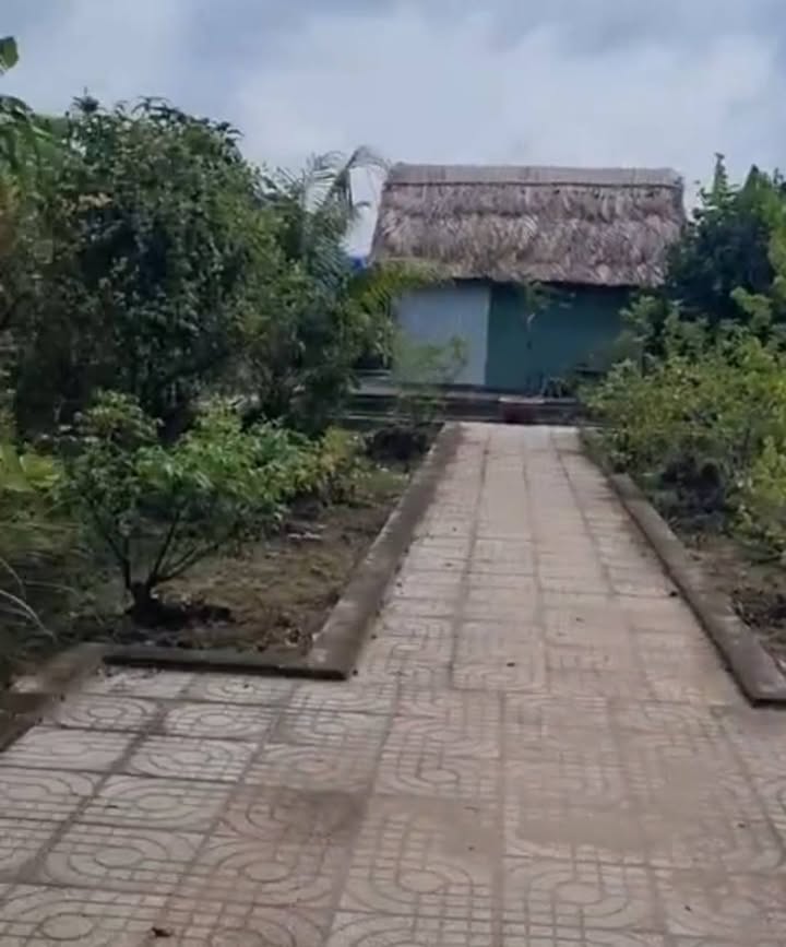 Nhà vườn 500m² tại Bình Mỹ, Củ Chi - Giá chỉ 2.55 tỷ, thương lượng ngay!