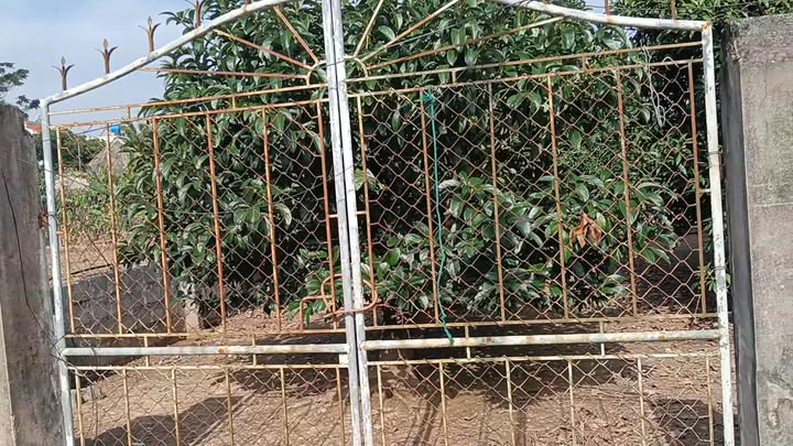 Đất thổ cư xã Bình Hòa, Giao Thủy 235m² giá 1 tỷ - Phong thủy đẹp, ô tô vào thoải mái!