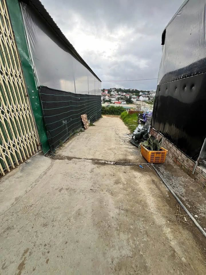 Nhà nguyên căn Mai Xuân Thưởng, Đà Lạt 68m² - Giá thuê chỉ 6 triệu/tháng!