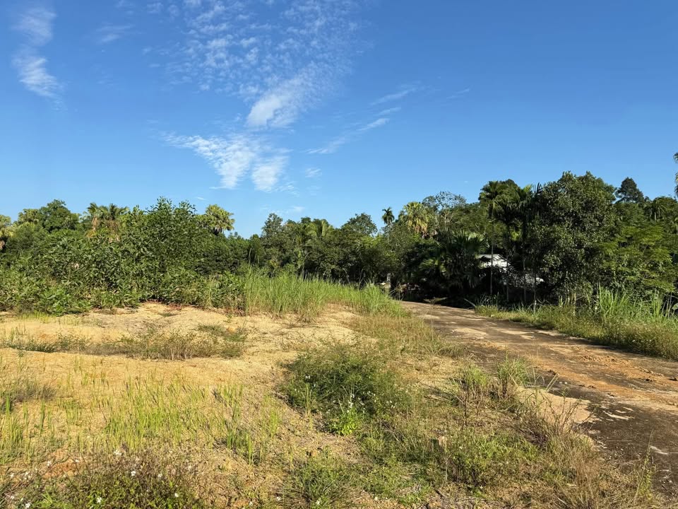 Đất thổ cư Nguyệt Ấn, Ngọc Lặc 100m² giá chỉ 95 triệu - Cơ hội đầu tư tuyệt vời!