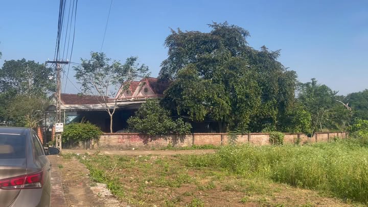 Đất nền Nghĩa Đàn 179.4m² giá chỉ 300 triệu - Cơ hội đầu tư tuyệt vời!