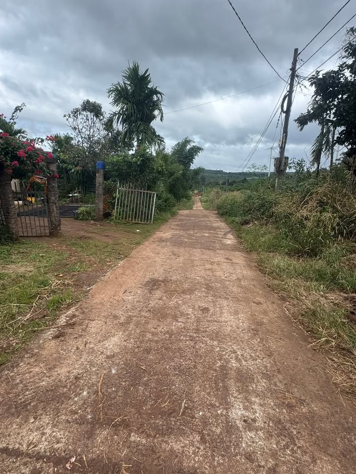 Đất thổ cư Cư Pơng 320m² giá chỉ 1.6 tỷ - Cơ hội đầu tư tuyệt vời!