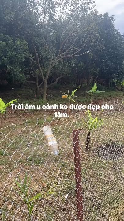 Đất nền 5400m² Gia Kiệm, Thống Nhất chỉ 1.25 tỷ - Đầu tư sinh lời ngay!