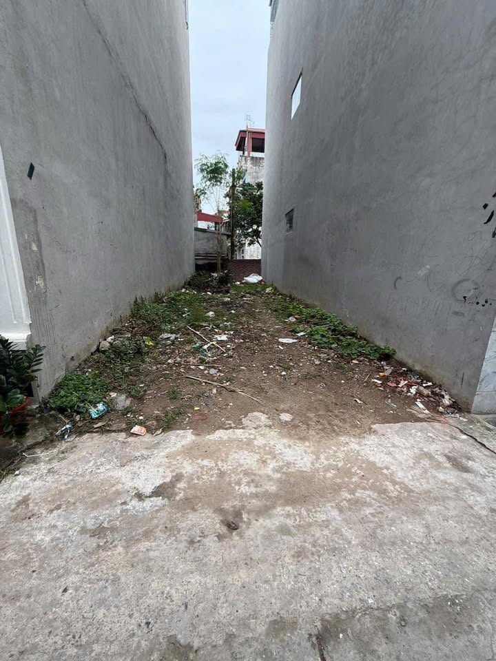 Đất nền Đại Áng Thanh Trì 42.5m² giá 4 tỷ - Sổ đỏ chính chủ, ô tô vào tận đất!