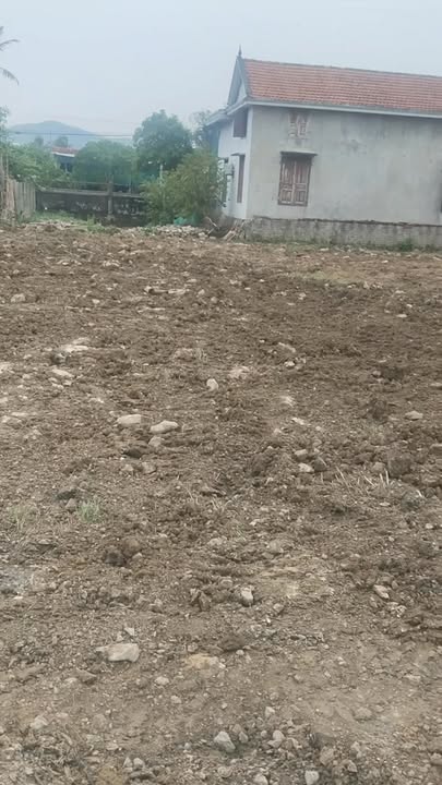 Đất nền Quỳnh Lâm 227m² giá thỏa thuận - Cơ hội đầu tư hiếm có!