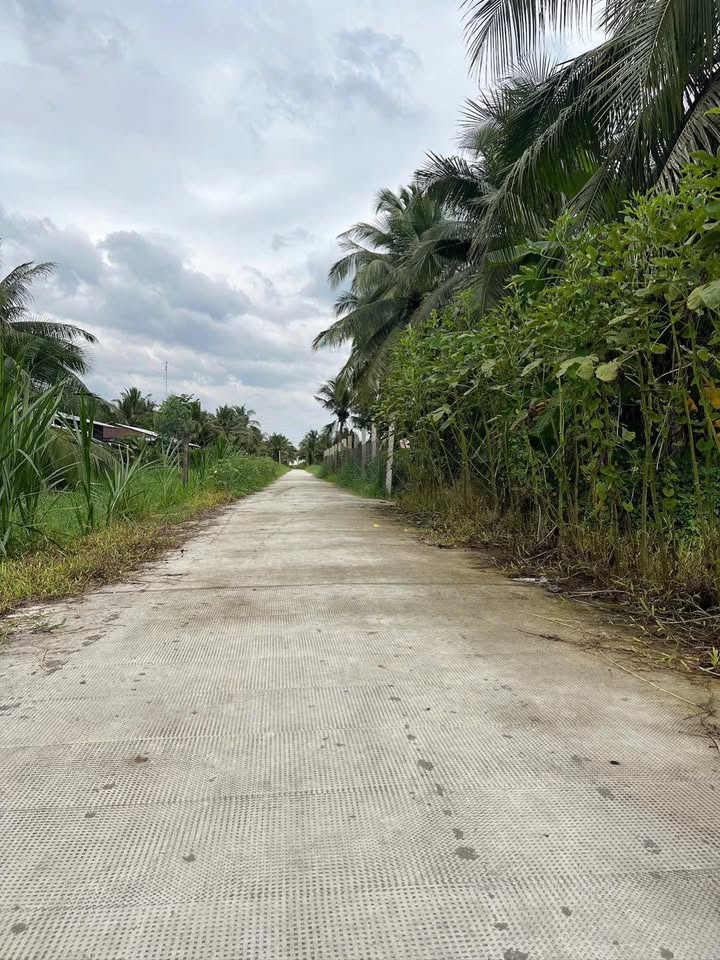 Đất nền hẻm Sân Bia, Phú Tân 1100m² - Giá chỉ 4.95 tỷ, cơ hội đầu tư tuyệt vời!