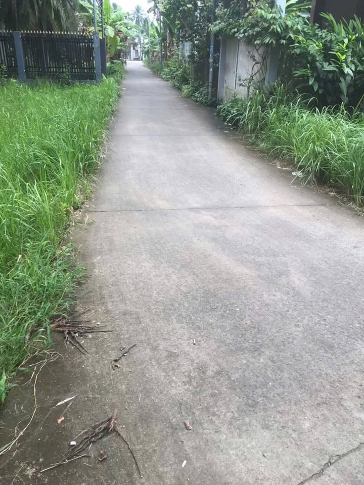 Đất vườn dừa 1000m² tại Tam Phước giá chỉ 1 tỷ - Cơ hội đầu tư hấp dẫn!