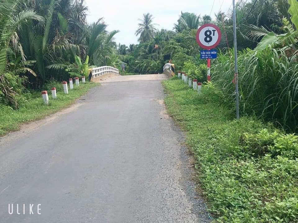 Đất thổ cư 7869m² tại Thuận Điền, Giồng Trôm - Giá chỉ 1.3 tỷ VND!