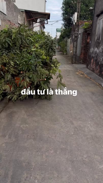 Đất nền thổ cư Hồng Sơn 95m² giá 1 tỷ - Chính chủ cần bán gấp!