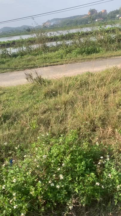 Đất nền mặt đường Bái Đính-Ba Sao, Gia Viễn 100m² - Giá cả thỏa thuận, không lỗi nhỏ!