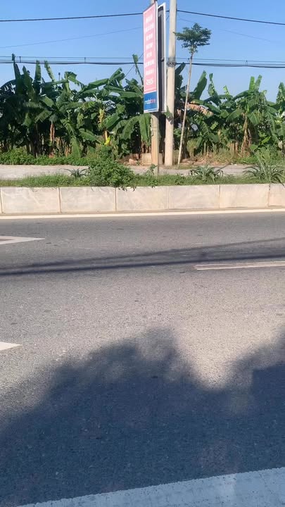 Đất nền mặt đường 477B Gia Vượng, 115m² - Cơ hội đầu tư sinh lời!