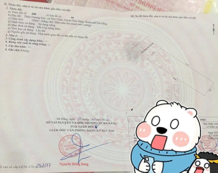 Đất nền Dương Sơn, Hòa Xuân, Đà Nẵng 120m² giá 1 tỷ - Đầu tư sinh lời nhanh!