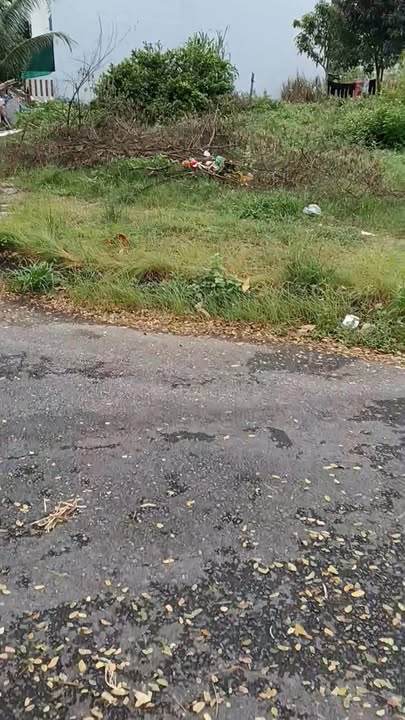 Đất nền Bùi Quốc Khái, Ngũ Hành Sơn 158.3m² giá 7.9 tỷ - Tiềm năng đầu tư lớn!