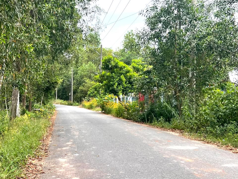 Đất nền Long Hòa, Cần Giờ 250m² giá 600 triệu - Sổ đỏ chính chủ, đầu tư sinh lời!