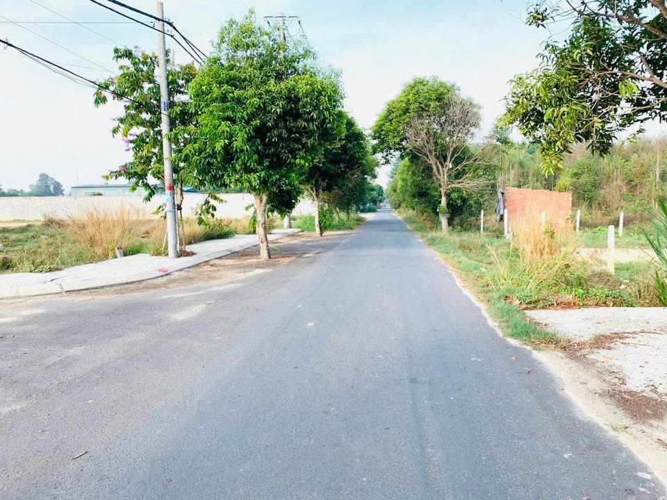 Đất thổ cư 230m² tại Đường số 218, Củ Chi - Giá chỉ 2.4 tỷ, sẵn sàng xây dựng!