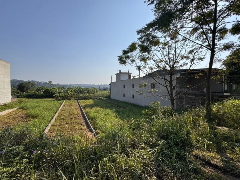 Đất mặt đường Hồ Chí Minh 125m² giá 2 tỷ - Tiềm năng đầu tư vượt trội!