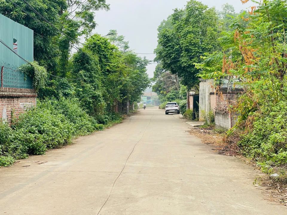 Đất nền thôn Khoang Mái, xã Hạ Bằng 3300m² giá 80 tỷ - Đầu tư sinh lời hấp dẫn!